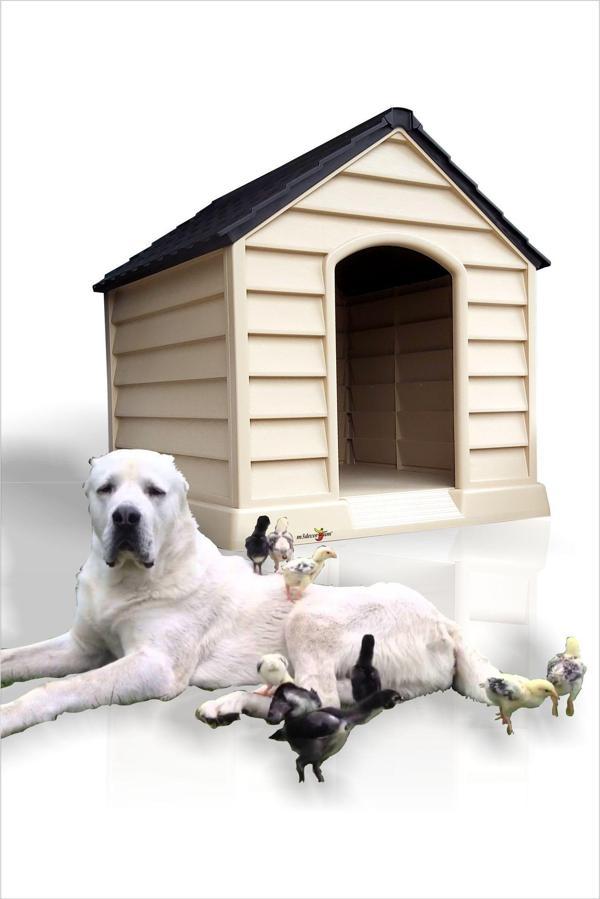 Dev Büyük Yüksek Geniş 100x95cm Isı Yalıtımlı Havalandırmalı Köpek Kulübesi Evi Yuvası Kümesi Kafesi - Image 1