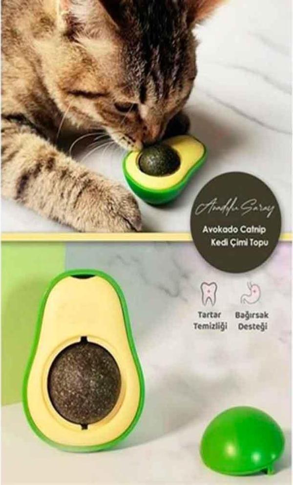 Avokado Catnip Kedi Nanesi Topu - Image 1