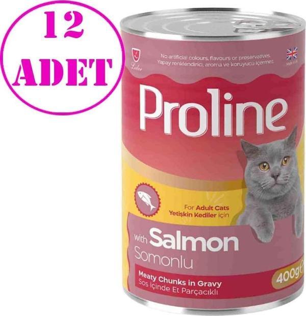 Proline Kedi Konserve Maması Somonlu 400 Gr 12 AD - Image 1