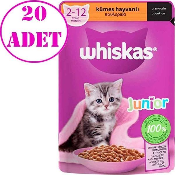 Whiskas Junior Tavuklu Yaş Mama 85 Gr 20 AD - Image 1