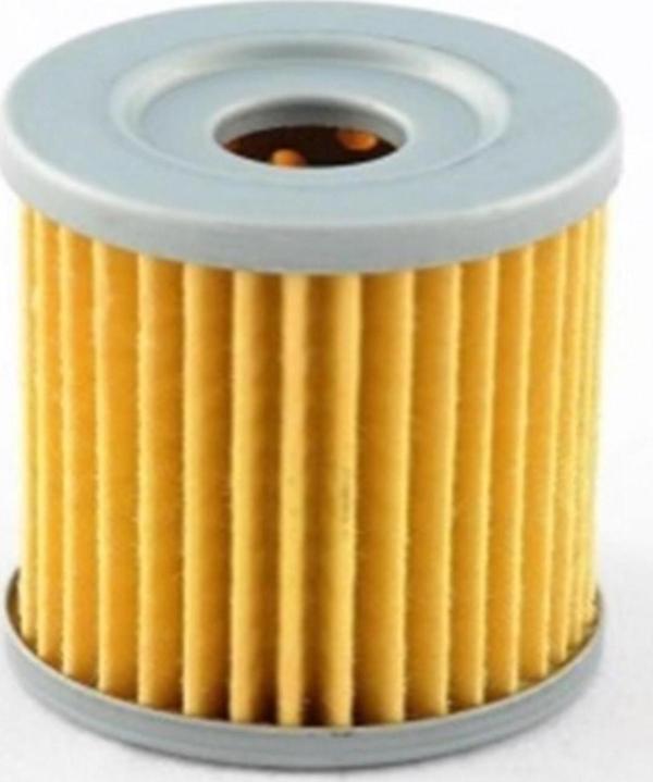 Monero Yağ Filtresi Pıoneer Ramzey Xf200-10v-oem 200cc - Image 1