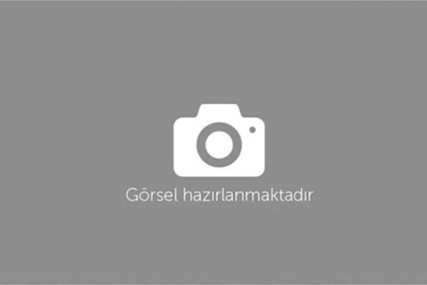 Atv Lx200 Ön Dişli Koruma Sacı - Image 1