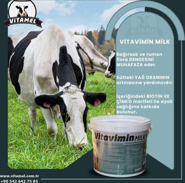 Vitamel Vitavimin Milk  - Sağmal İnekler İçin Yem Katkı Maddesi - Image 1