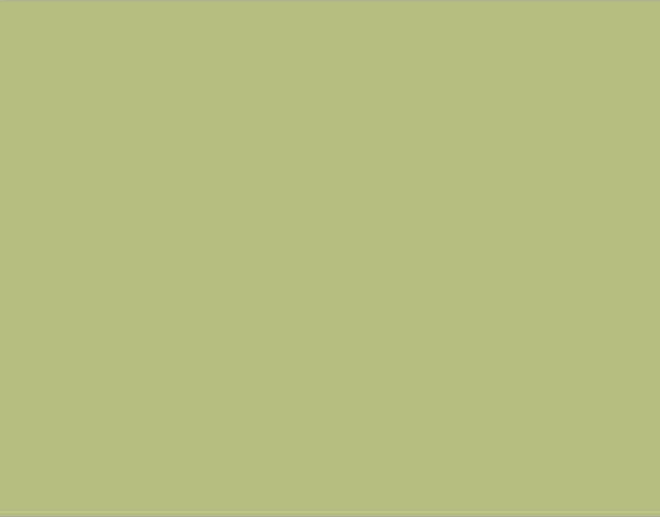 Derwent Drawing Pencil Renkli Çizim Kalemi 4125 Pale Cedar - Image 1