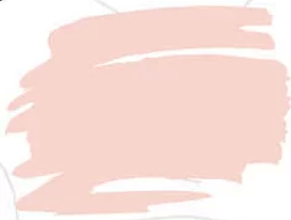Zig Kurecolor Fine & Brush for Manga Çizim Kalemi 202 Pale Pink - Image 1