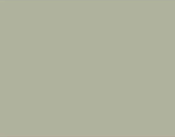 Derwent Drawing Pencil Renkli Çizim Kalemi 7120 Cool Grey - Image 1