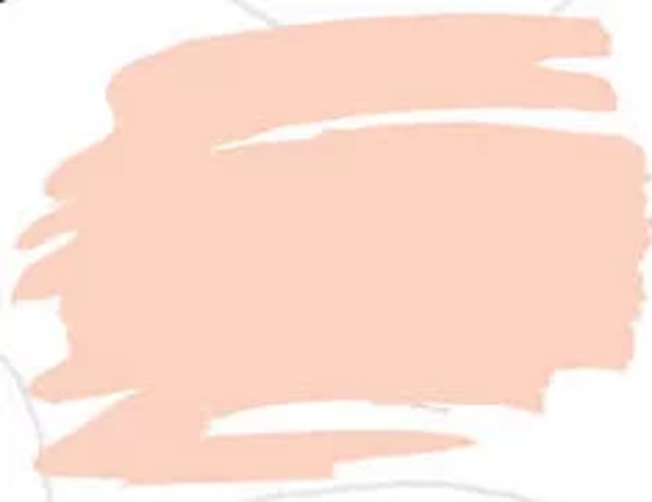 Zig Kurecolor Fine & Brush for Manga Çizim Kalemi 743 Blush - Image 1