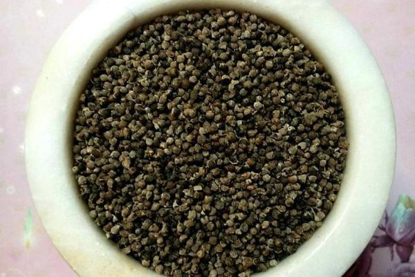 Dökme Tohumlar Hayıt Tohumu - 250 gr - Image 1
