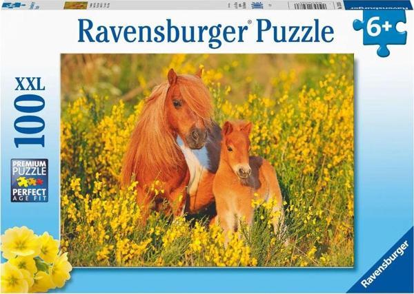 Ravensburger 100 Parça Puzzle Taylar 132836 - Image 1