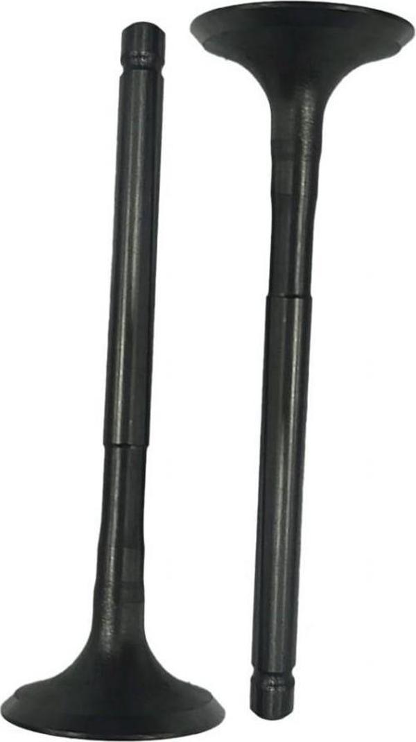 Motostar Emme Egzoz Sübap Takımı Regal Raptor 250 - Image 1