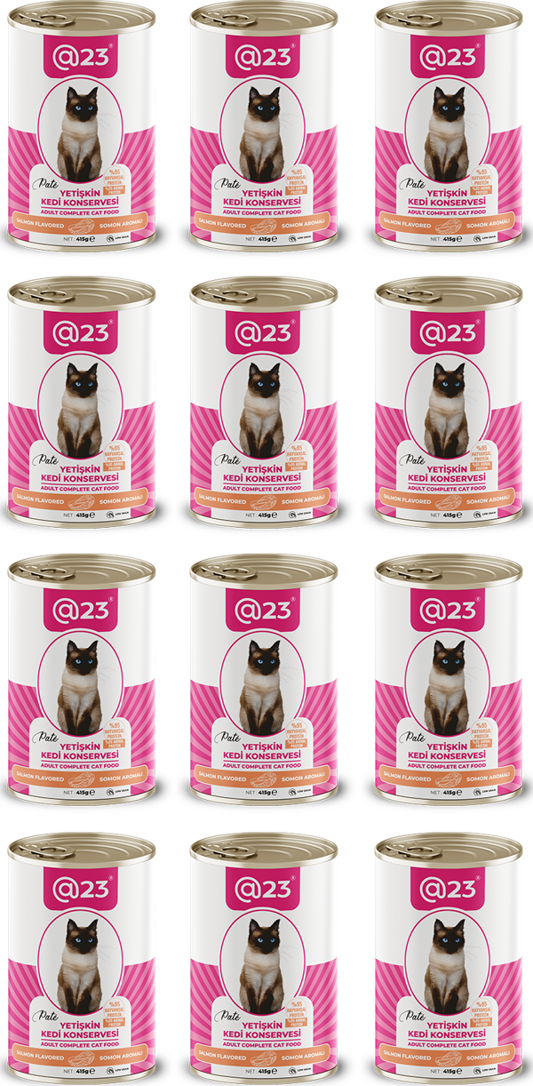 @23 Yetişkin Kedi Konservesi Somon Aromalı 415 g x 12 adet - Image 1