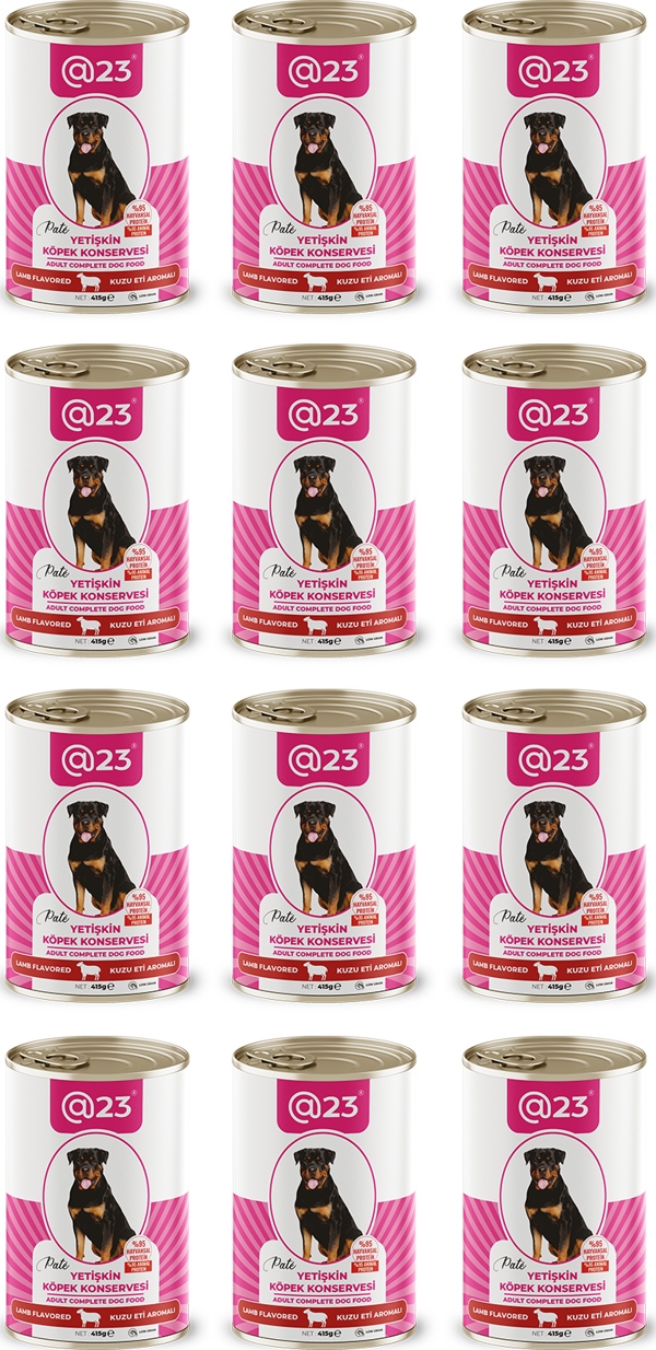 @23 Yetişkin Köpek Konservesi Kuzu Eti  Aromalı 415 g x 12 adet - Image 1