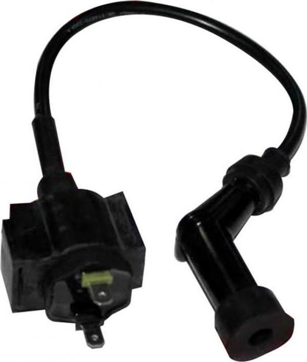 Motospartan Ateşleme Bobini Regal Raptor 250 - Image 1