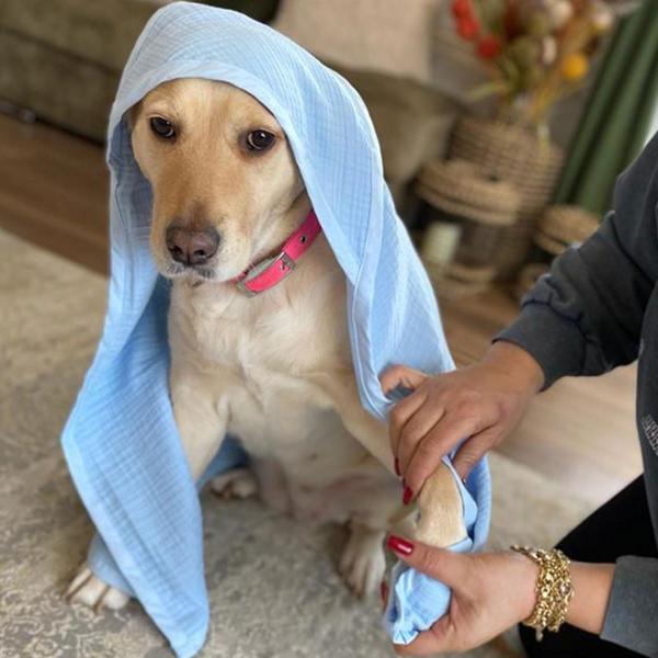Ezh Kedi Ve Köpek Evcil Hayvan Kurulama Havlusu - Image 1