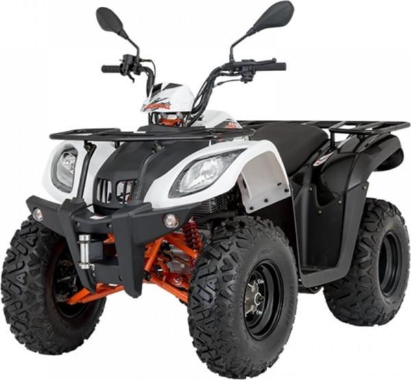 Mondial Au 200 Etıket Setı Komple - Image 1