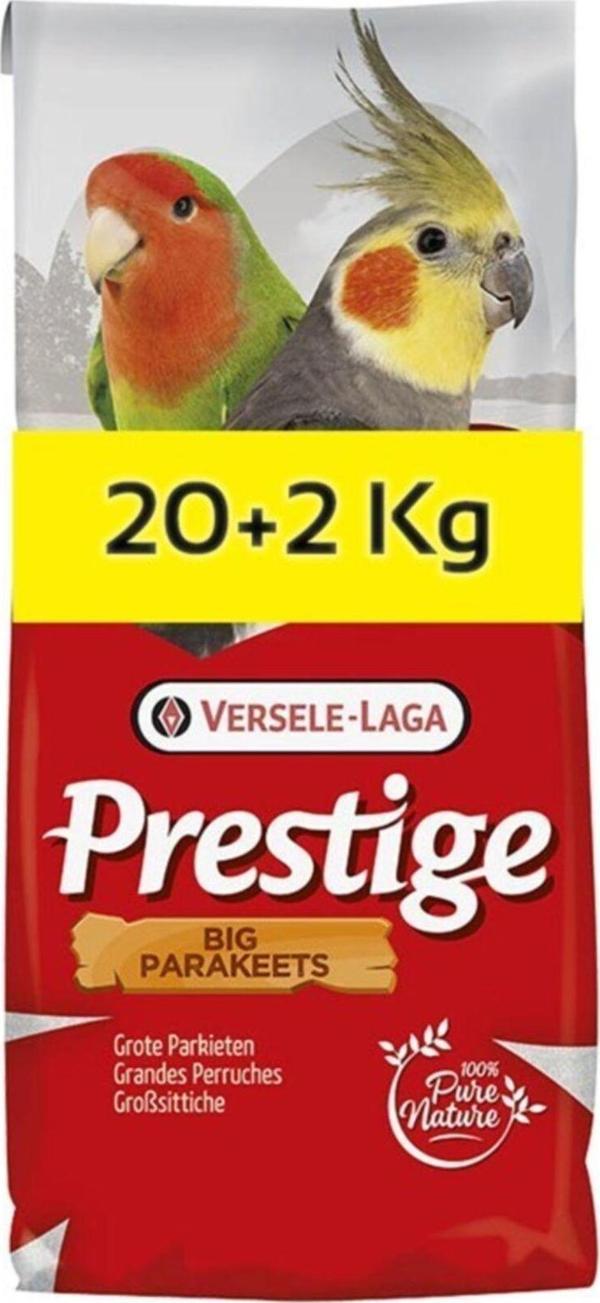 Big Parakeets Paraket Yemi 22 kg - Image 1