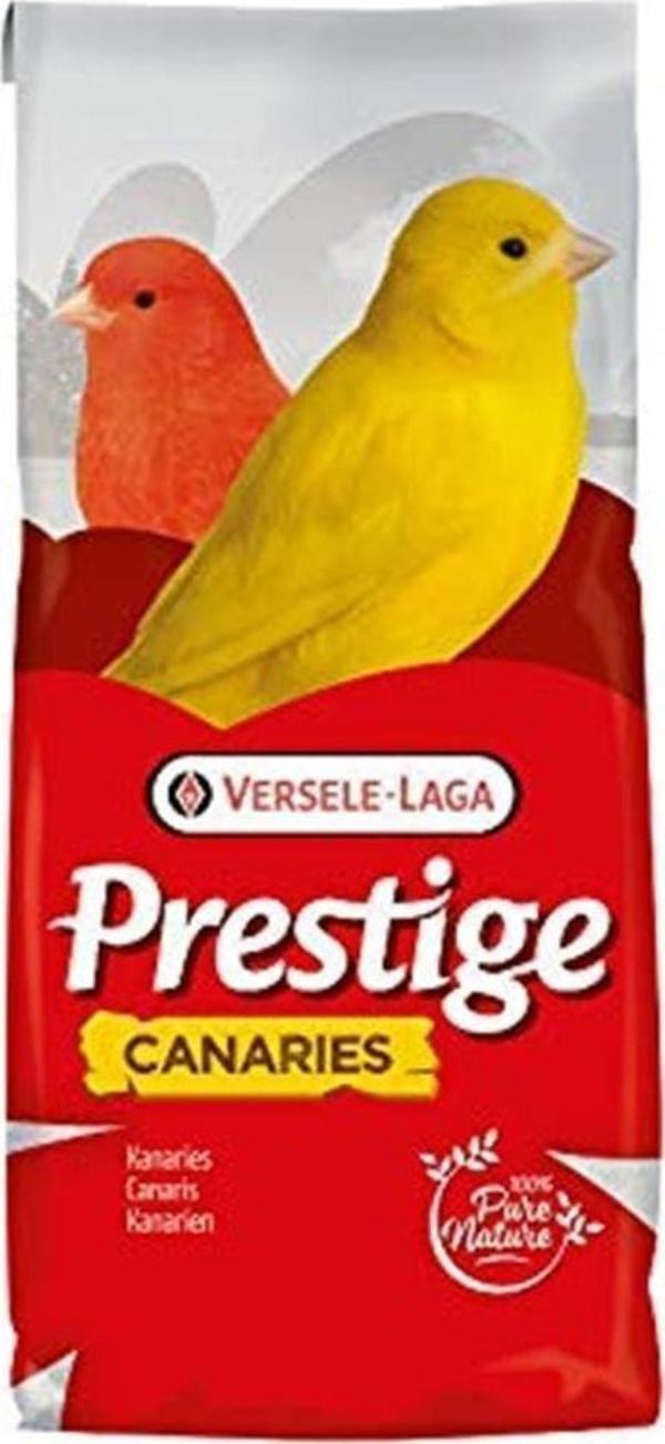 Verselelaga Kanarya Çimlendirme Tohumu 20 kg - Image 1