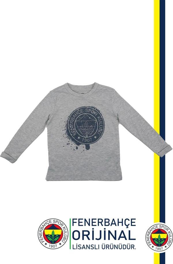 Fenerbahçe Orijinal Lisanslı Yaldızlı Fb Logo Gri Çocuk Sweat - Image 1