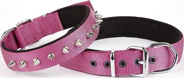 Doggie Çivi Desenli Köpek Tasması 2,5*60 cm Mor - Image 1