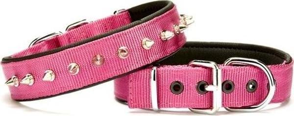 Doggie Çivi Desenli Köpek Tasması 3*55 cm Mor - Image 1