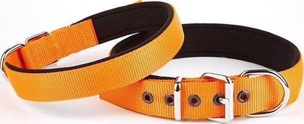 Doggie Softlu Köpek Boyun Tasması 3 cm x 55 cm Turuncu - Image 1