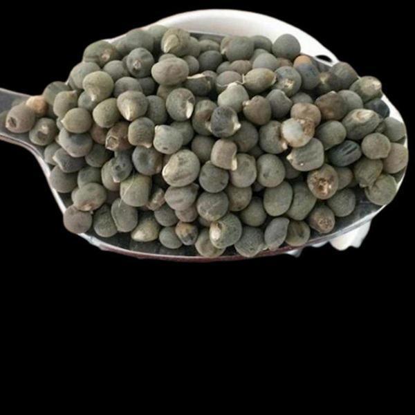 Sadıcım Bamya Tohumu 1 Kg - Image 1