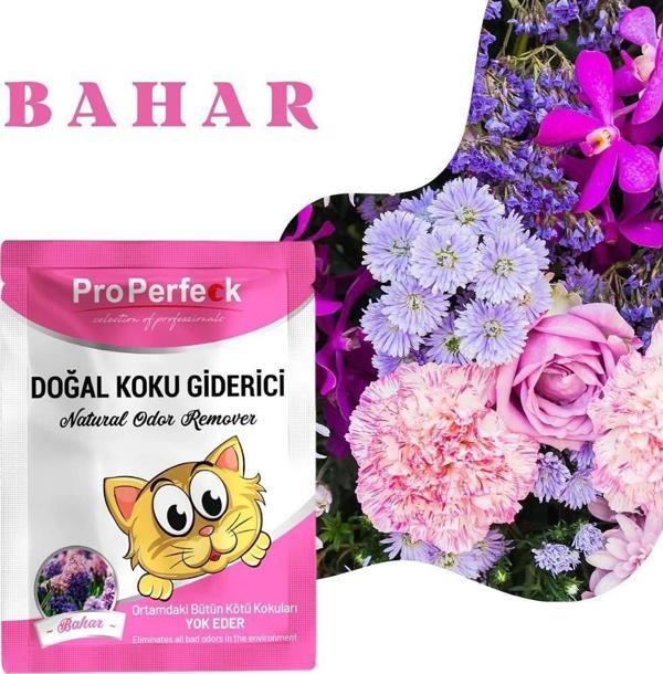 Pro Perfeck Bahar Kokulu Koku Giderici 25 gr - Image 1