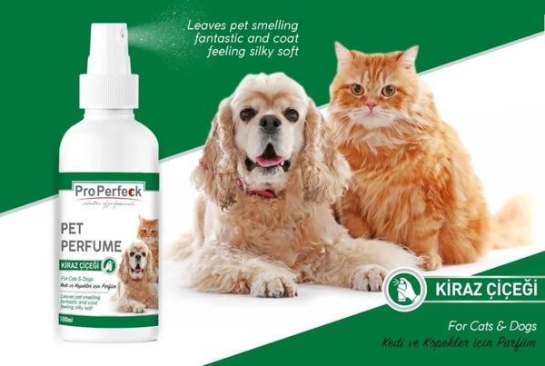 Pro Perfeck Kedi Ve Köpek Kiraz Çiçeği Parfüm 100 ml - Image 1