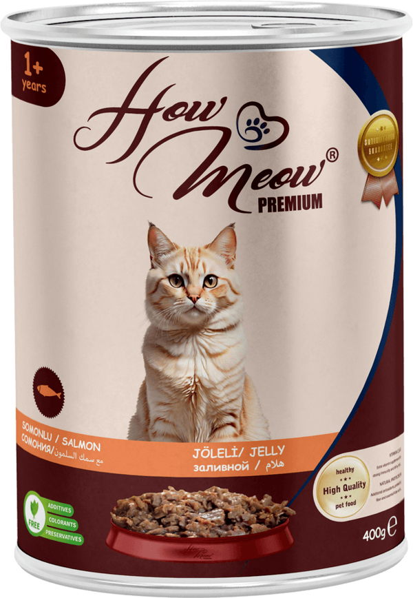 HOW MEOW 12 ADET JÖLELİ PARÇA ETLİ YETİŞKİN KEDİ YAŞ MAMASI SOMONLU 400 GRAM - Image 1