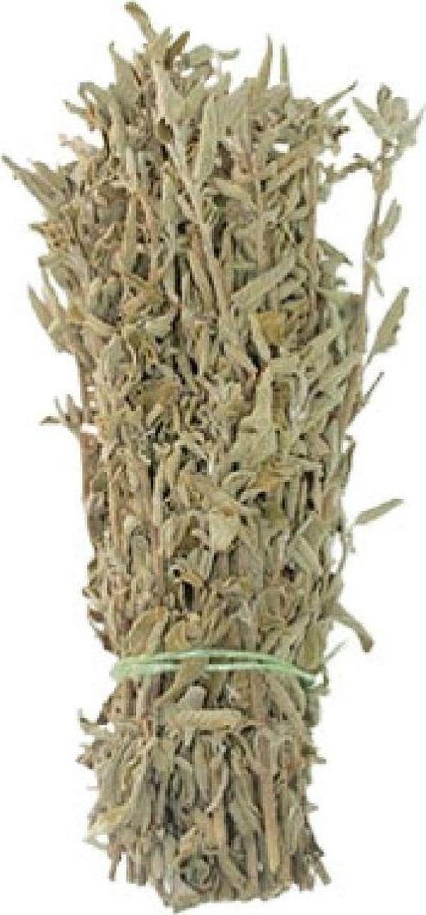 Aktarist Adaçayı Demeti - Image 1