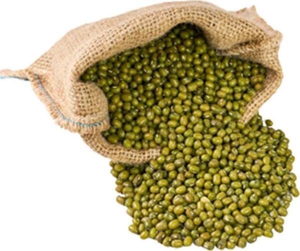 Aktarist Maş Fasulyesi - Image 1