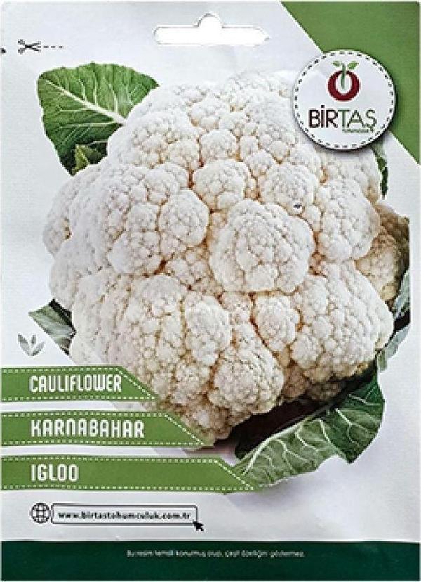 BİRTAŞ Birtaş Karnabahar Tohumu - Igloo - Image 1