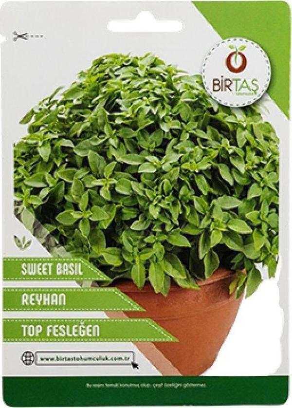 BİRTAŞ Birtaş Reyhan Tohumu - Top Fesleğen - Image 1