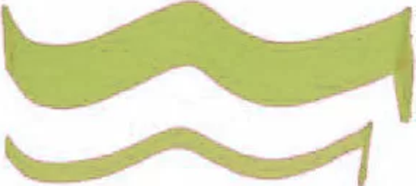 Zig Calligraphy Çift Uçlu Kaligrafi Kalemi 2mm + 5mm 402 Kiwi - Image 1