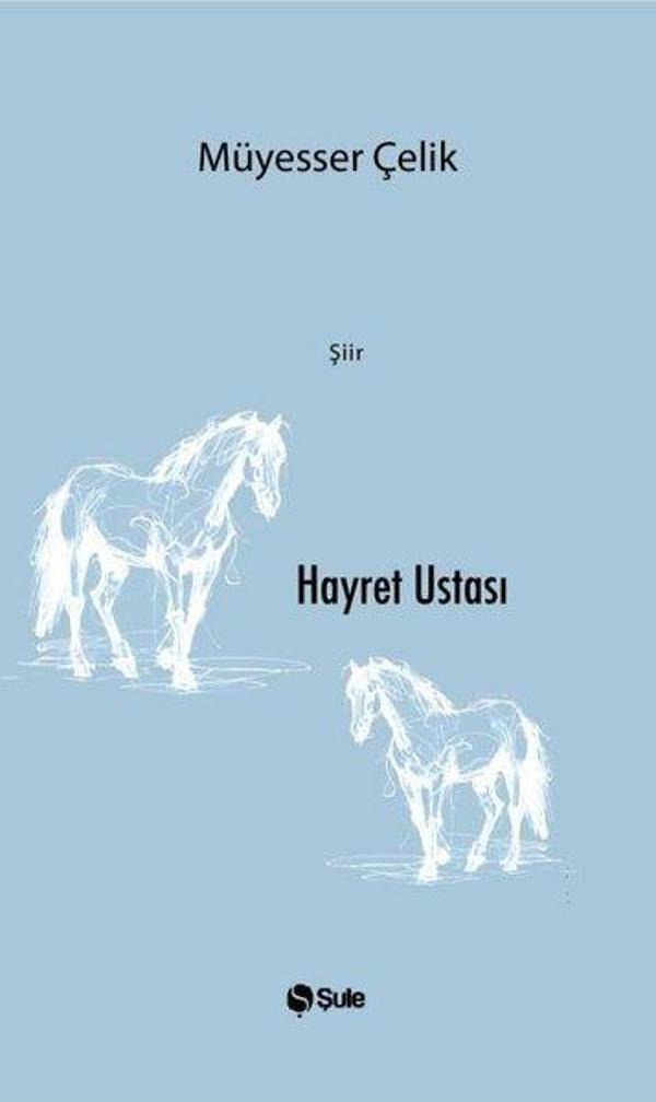 Hayret Ustası - Şule Yayınları - Image 1