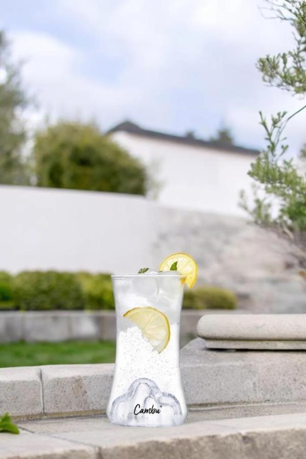CAMBU TİTANİC MEŞRUBAT BARDAĞI 350 ML - Image 1