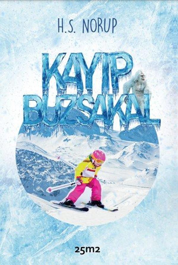 Kayıp Buzsakal - 25M2 Kitap - Image 1