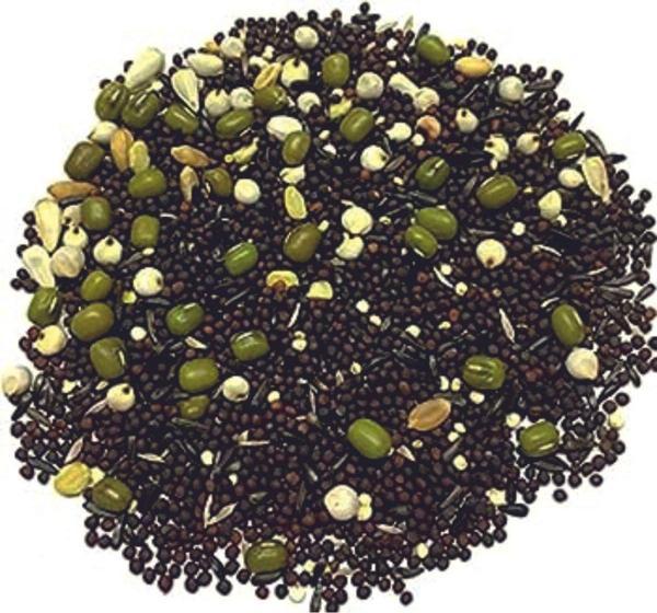 Çimlendirme tohumu 1 kg - Image 1