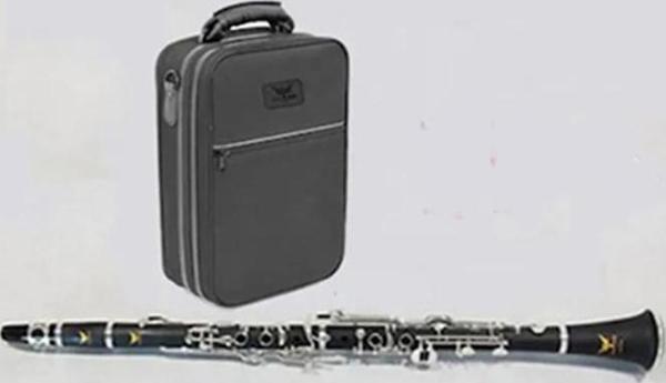 Sol Klarnet Br-gcl318s - Image 1
