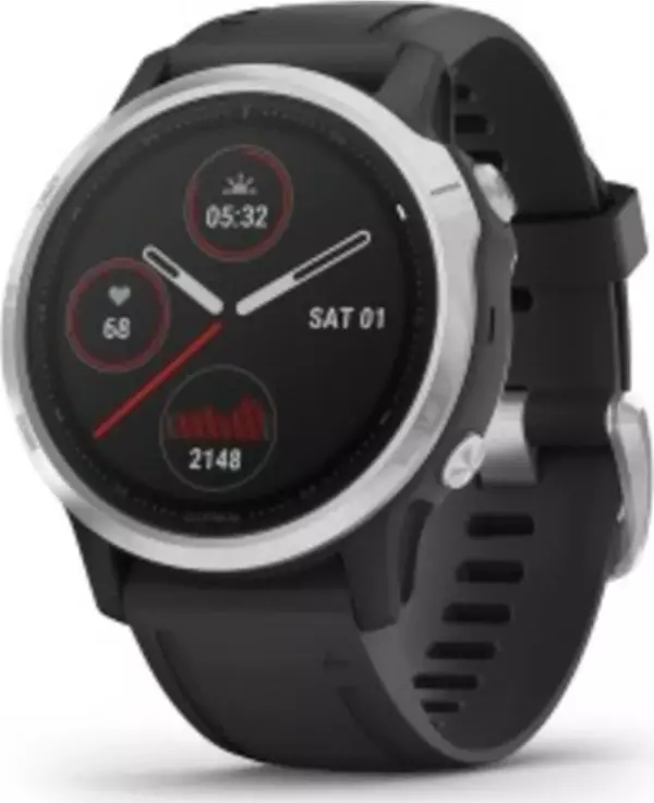 Garmin Fenix 6s Gümüş - Siyah - Image 1
