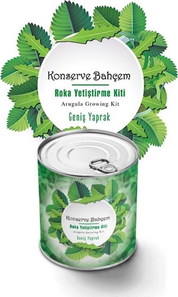 Konserve Bahçem Evde Konservede İri Yapraklı Roka Yetiştirme Kiti (4375) - Image 1