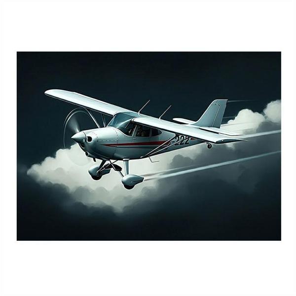 Pervaneli Beyaz Uçak Art Mdf Poster 50cmX 70cm - Image 1