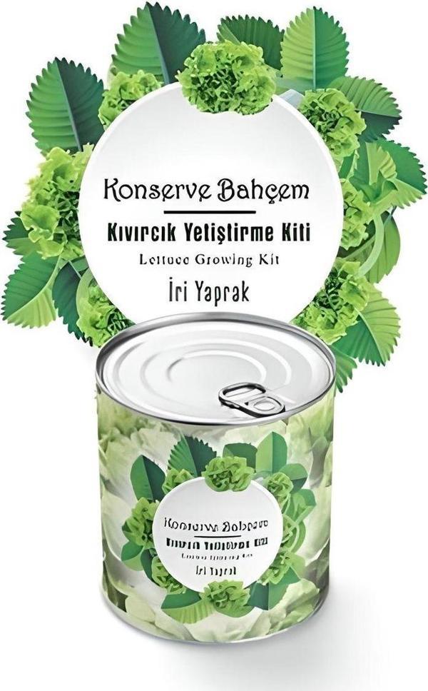 Mbb E-Ticaret Konserve Bahçem Evde Konservede İri Yapraklı Kıvırcık Yetiştirme Kiti - Image 1