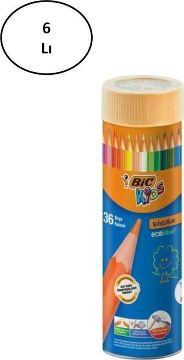 Mbb E-Ticaret Bic Evolution Kuru Boya Kalemi 36'Lı Metal Tüp 6'Lı - Image 1