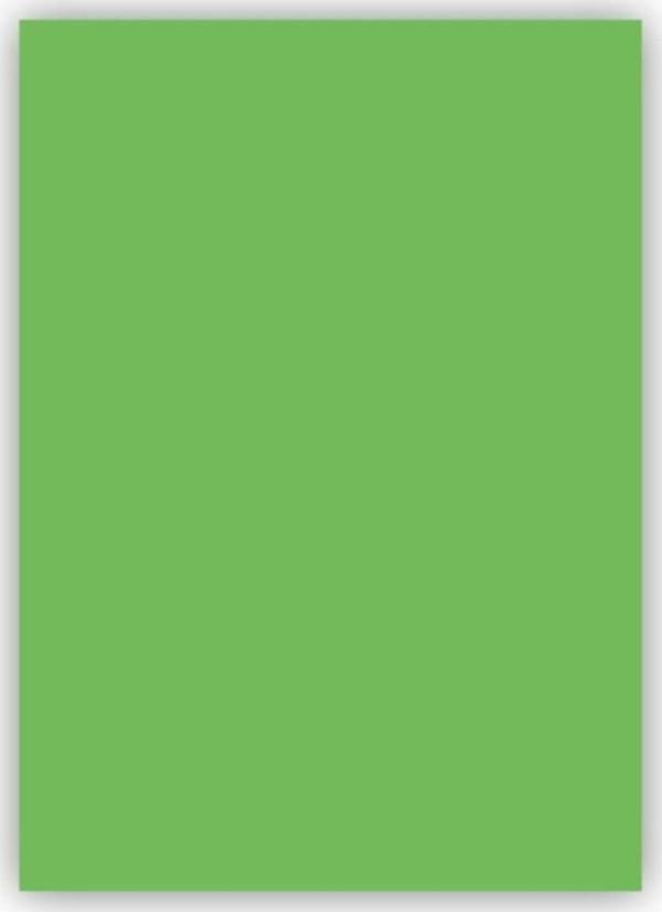 Bigpoint Fon Kartonu 50X70Cm 160 Gram Açık Yeşil 100'Lü Paket - Image 1
