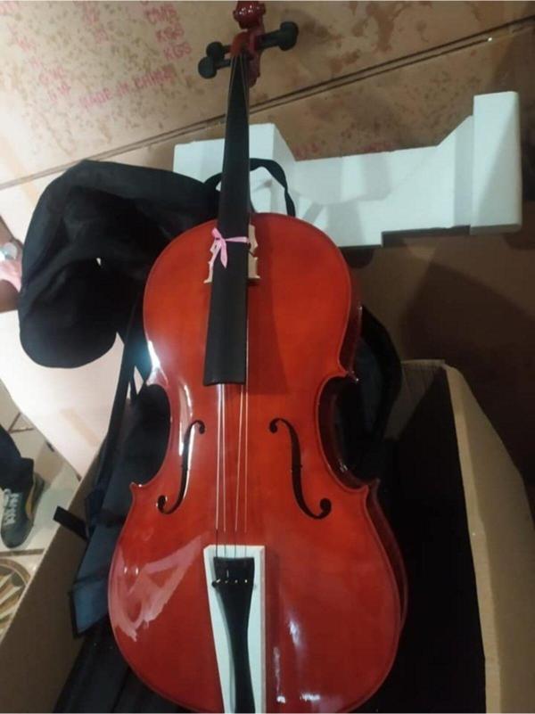 Valeria Cg001 4/4 Boy Student Model Tam Boy Çello Seti-Hareli Model - Image 1