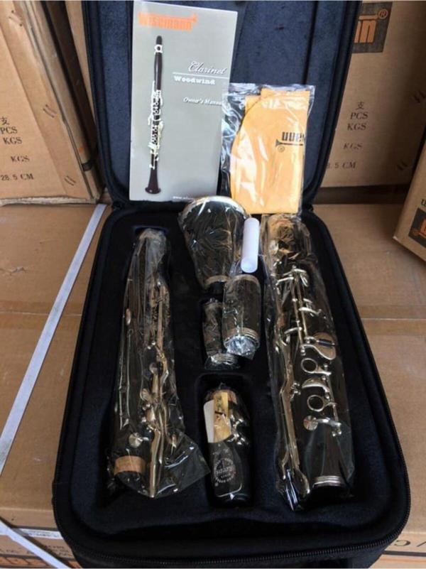Wisemann Dcl-G250 Model Amati Stil 4 Yüzüklü Prof Çantalı Sol Klarnet Seti - Image 1