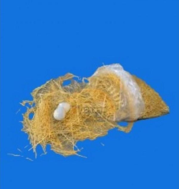 Tavpet Doğal Yuva Otu - Image 1