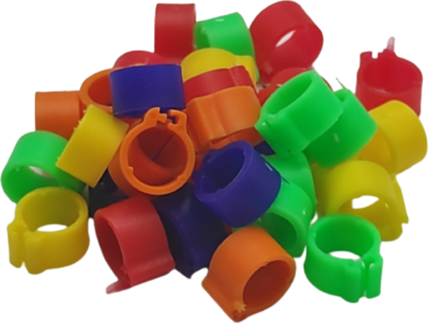 TavPet Güvercin Bileziği 100 Lük Pk. Karışık Renk - Image 1