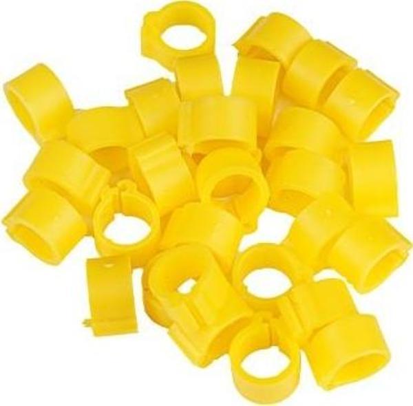 TavPet Güvercin Bileziği 100 Lük Pk. Sarı - Image 1